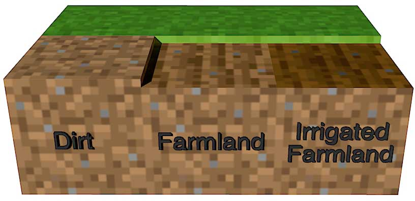 Farmland-Grow Sugarcane