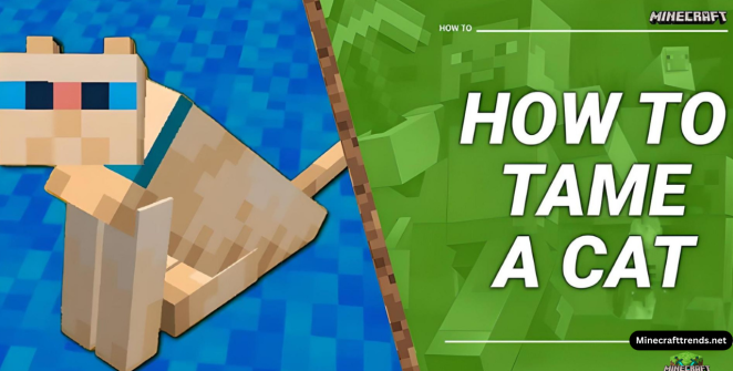 How to tame cat in Minecraft