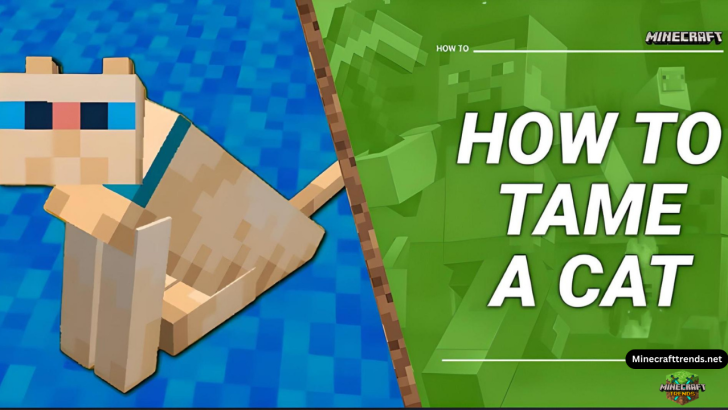 How to tame cat in Minecraft