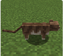 Locate feral cats-Tame Cats Minecraft