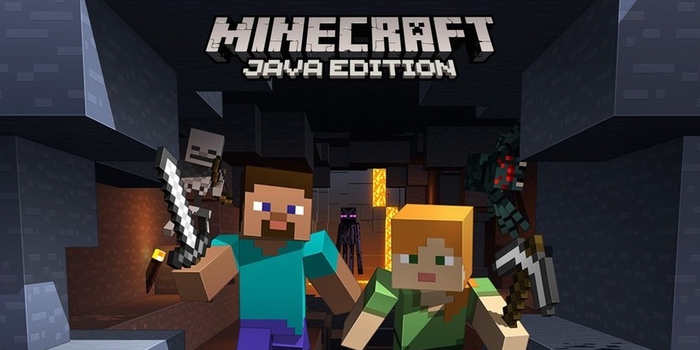 Minecraft Java Edition-Minecraft Version