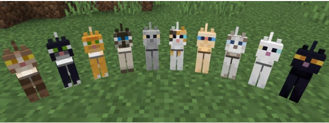 Tame Cats Minecraft