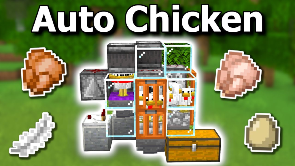 Auto Chicken Farm