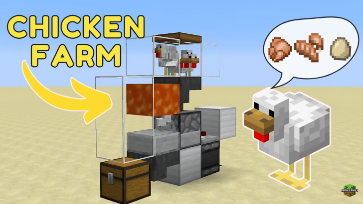 CHICKEN FARM