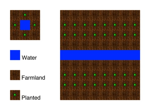 Crop Farming Tips in Minecraft