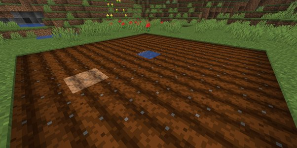 Crop Farming in Minecraft