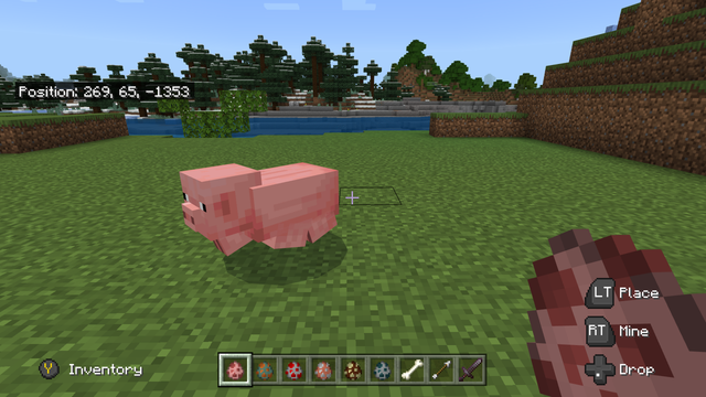 Gathering Animals in Minecraft