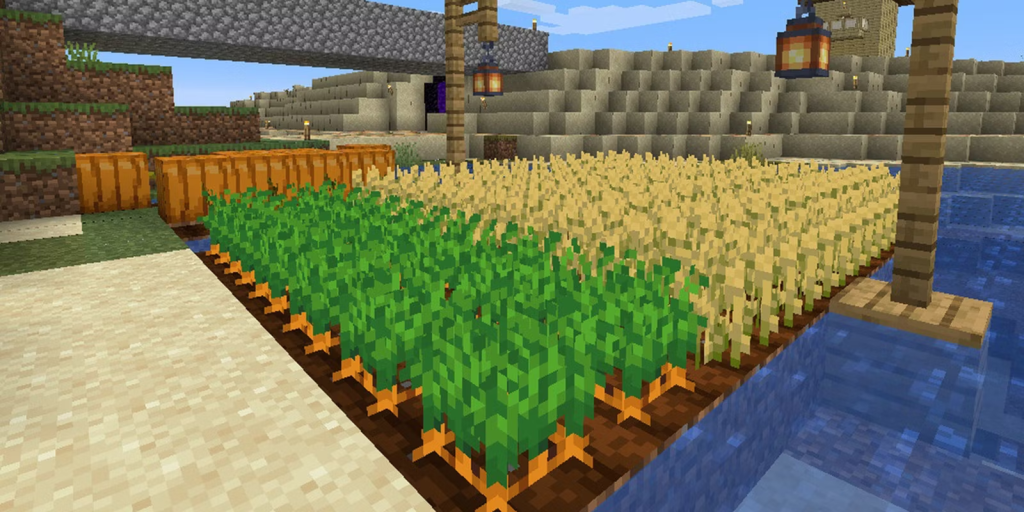 Growing the Crops in Minecraft