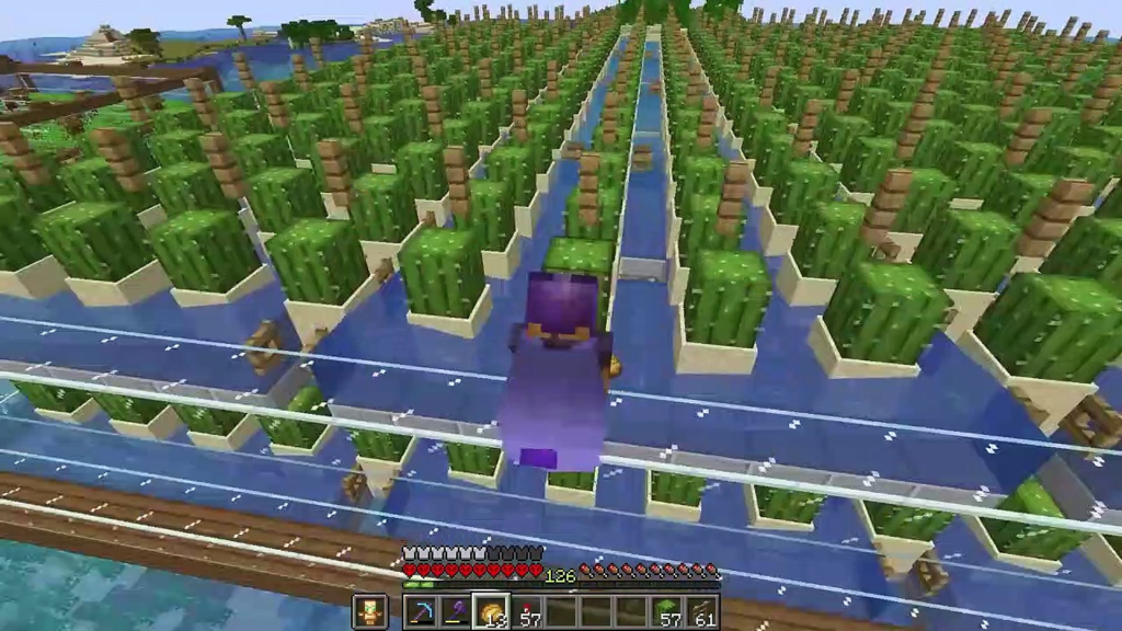 Minecraft Cactus Farm