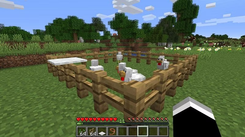 Minecraft Chickens Farm