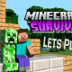 Minecraft Survival Mode