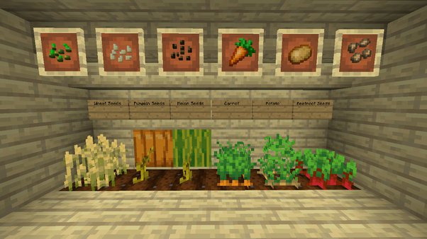 Planting Seeds in Minecraft