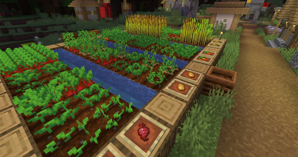 Watering the Crops in Minecraft