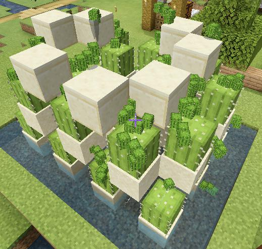 Cactus farming in Minecraft