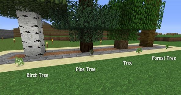 How to Build Tree Farming Minecraft