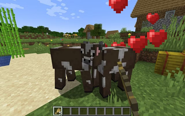 Luring Cows in minecraft