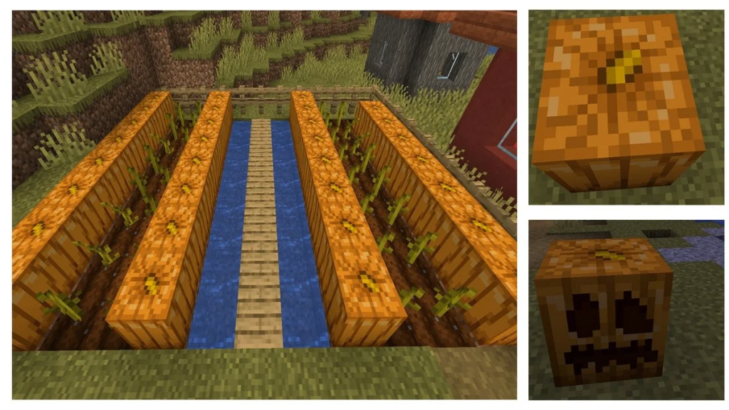 Pumpkins in Minecraft