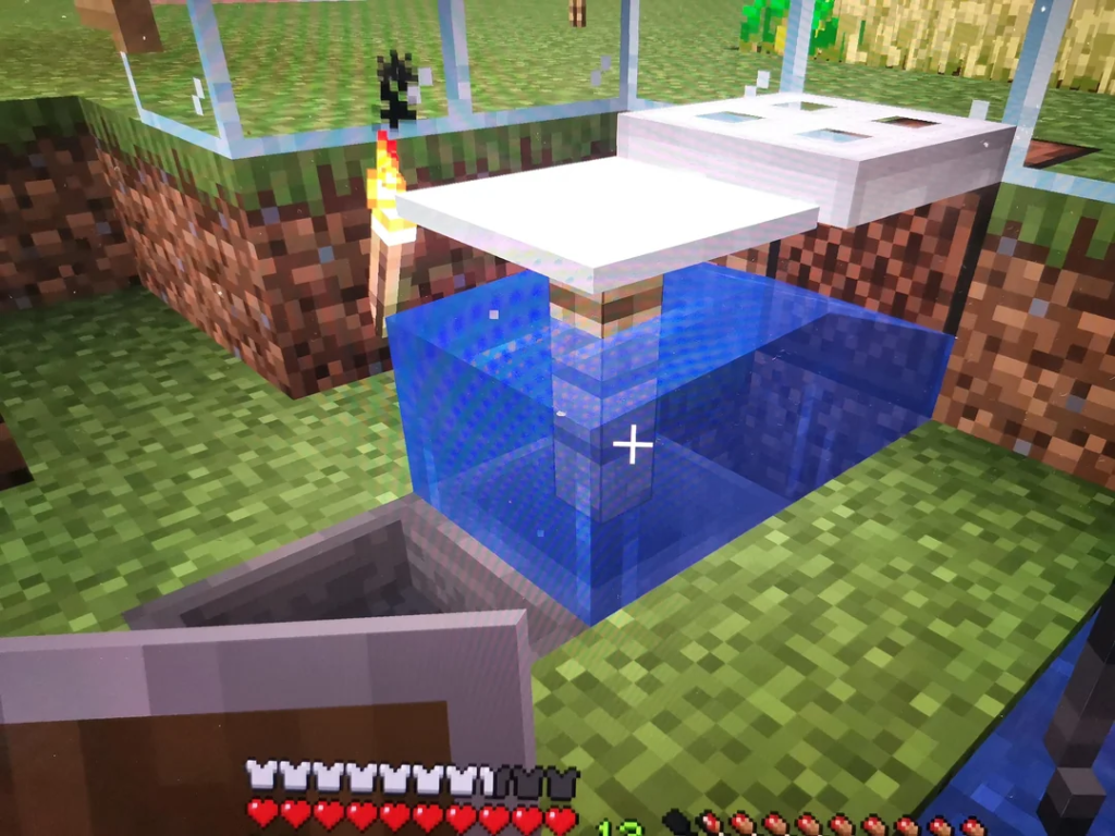 Create an Automated Fishing Farm