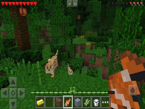 Minecraft Pocket Edition